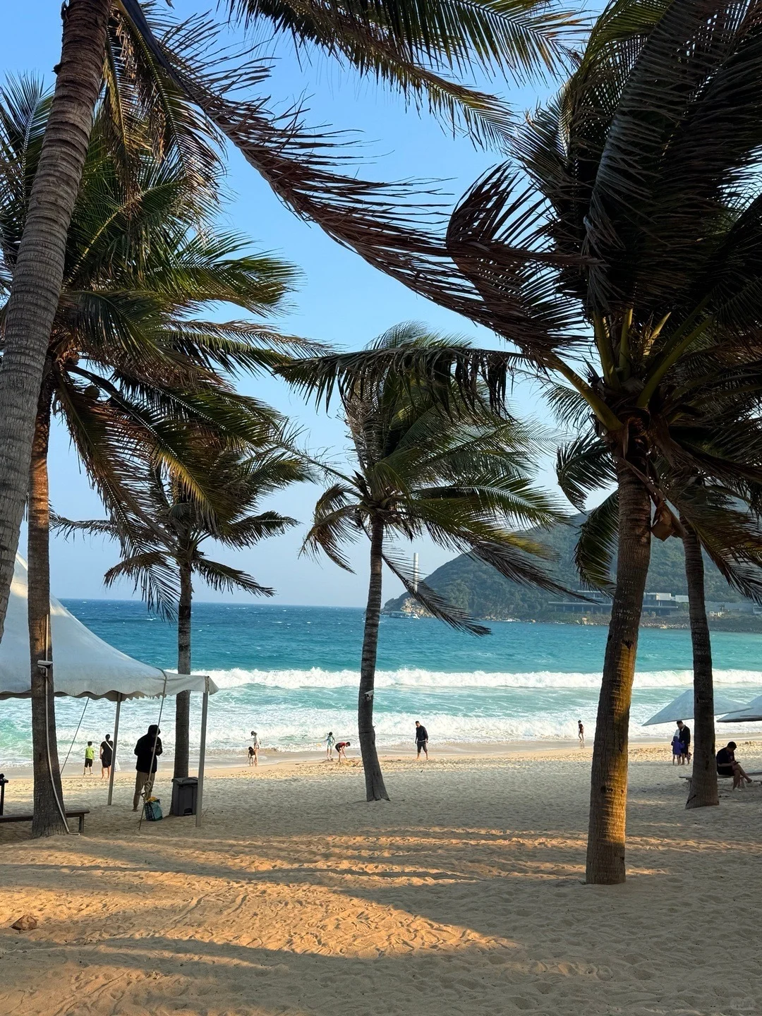 三亚已回！2~3月去三亚的需慎重考虑！！