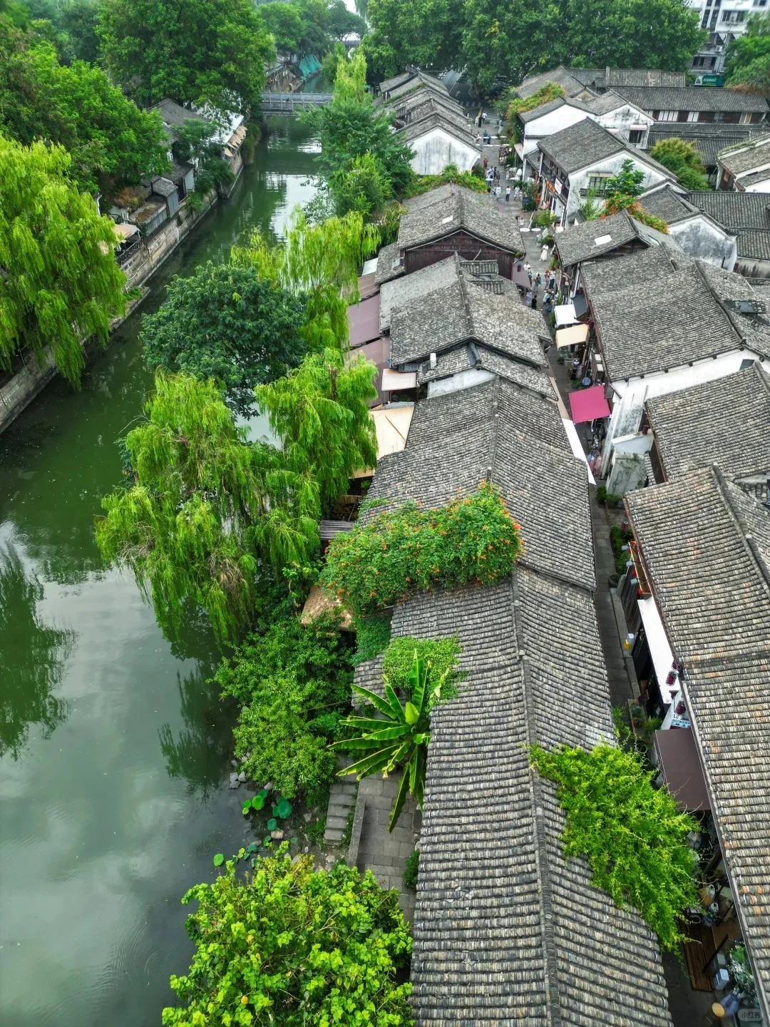 杭州3日游超全攻略（附CityWalk路线）