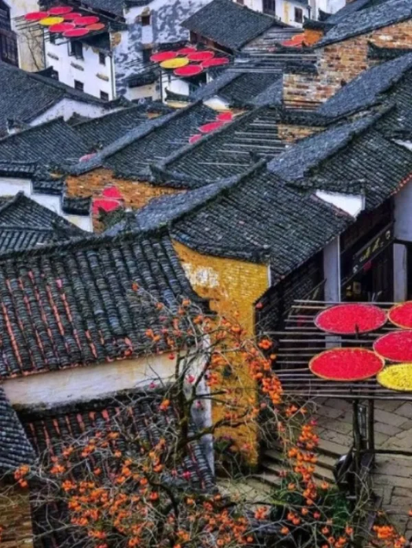 🌸江西婺源旅游攻略｜3天2夜玩转最美乡