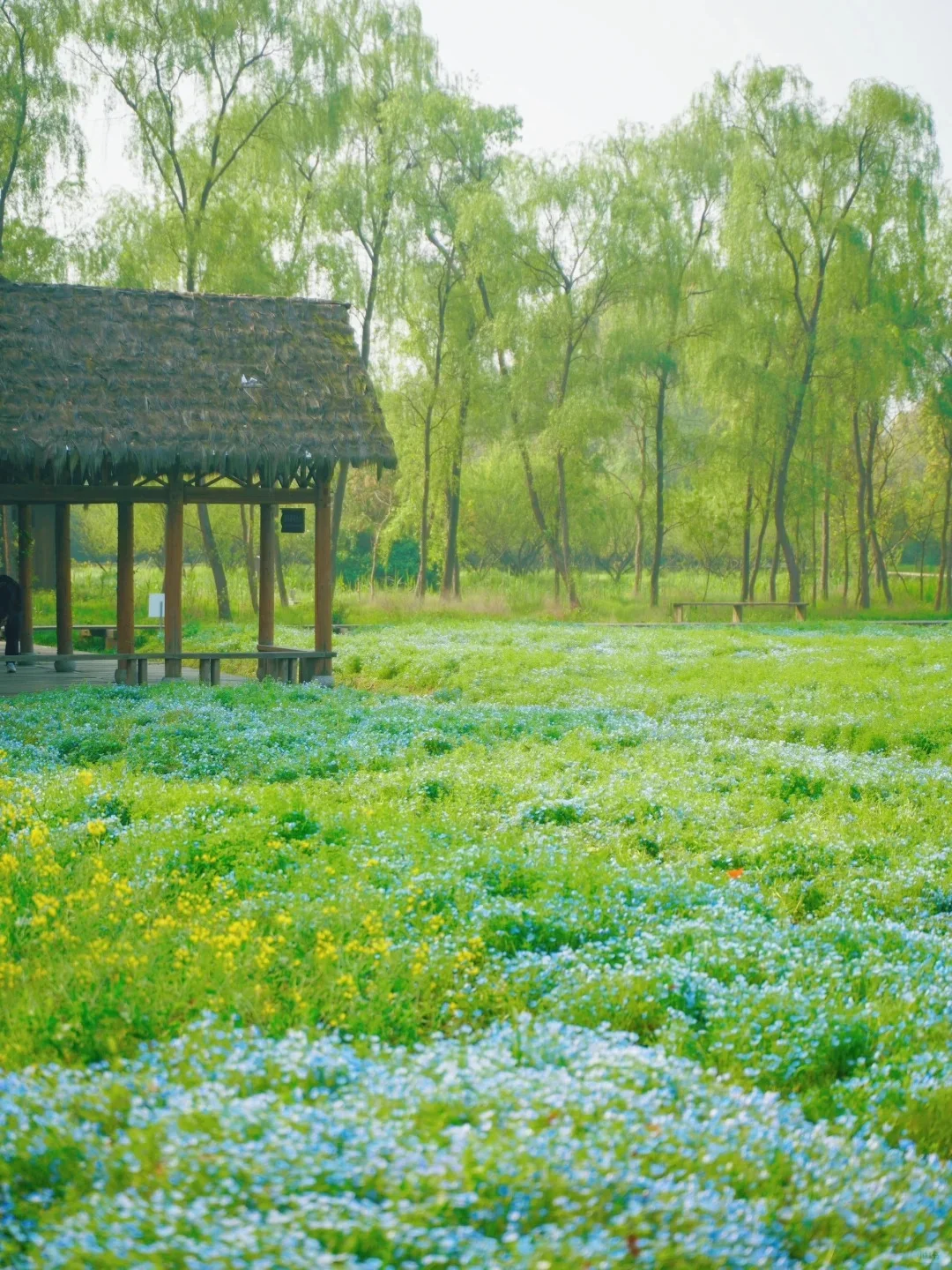 杭州3日游超全攻略（附CityWalk路线）