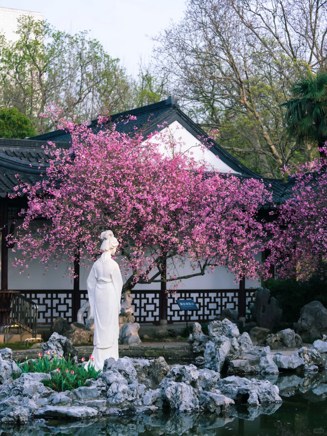 南京的春天,是一万次的春和景明。