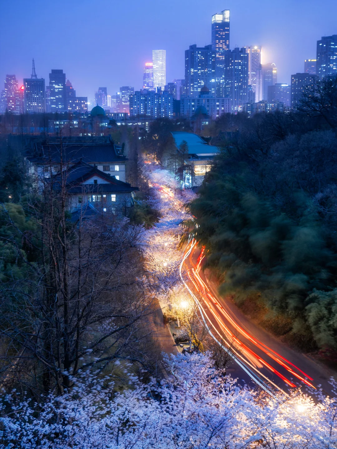 南京的春天,是一万次的春和景明。