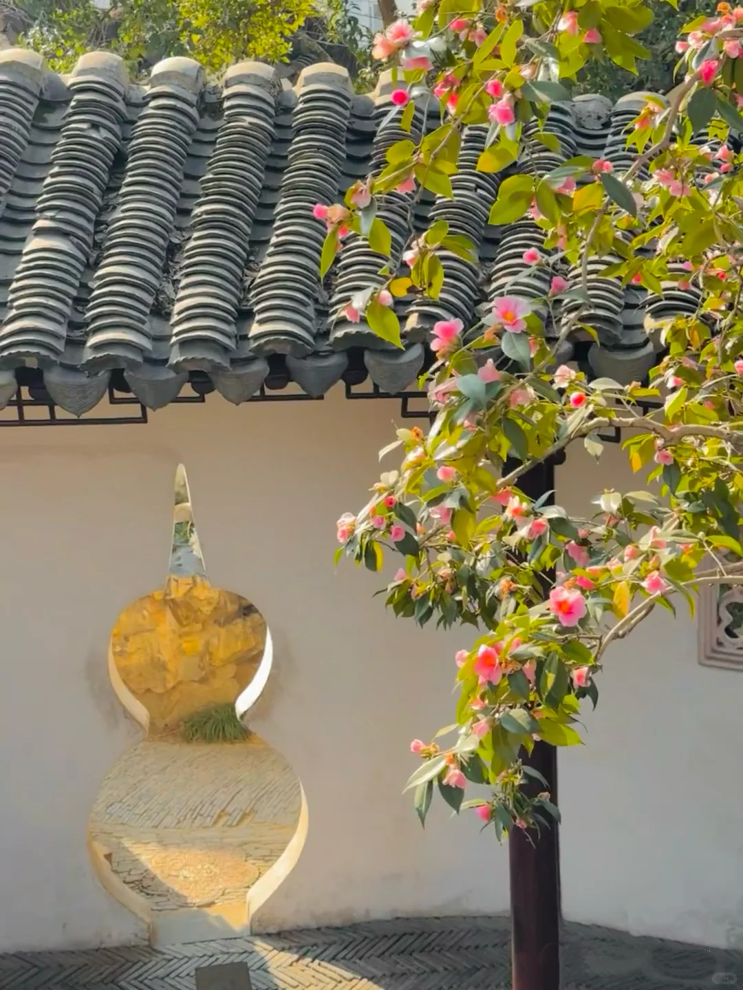 以为南京够美了🍃直到来了苏州......