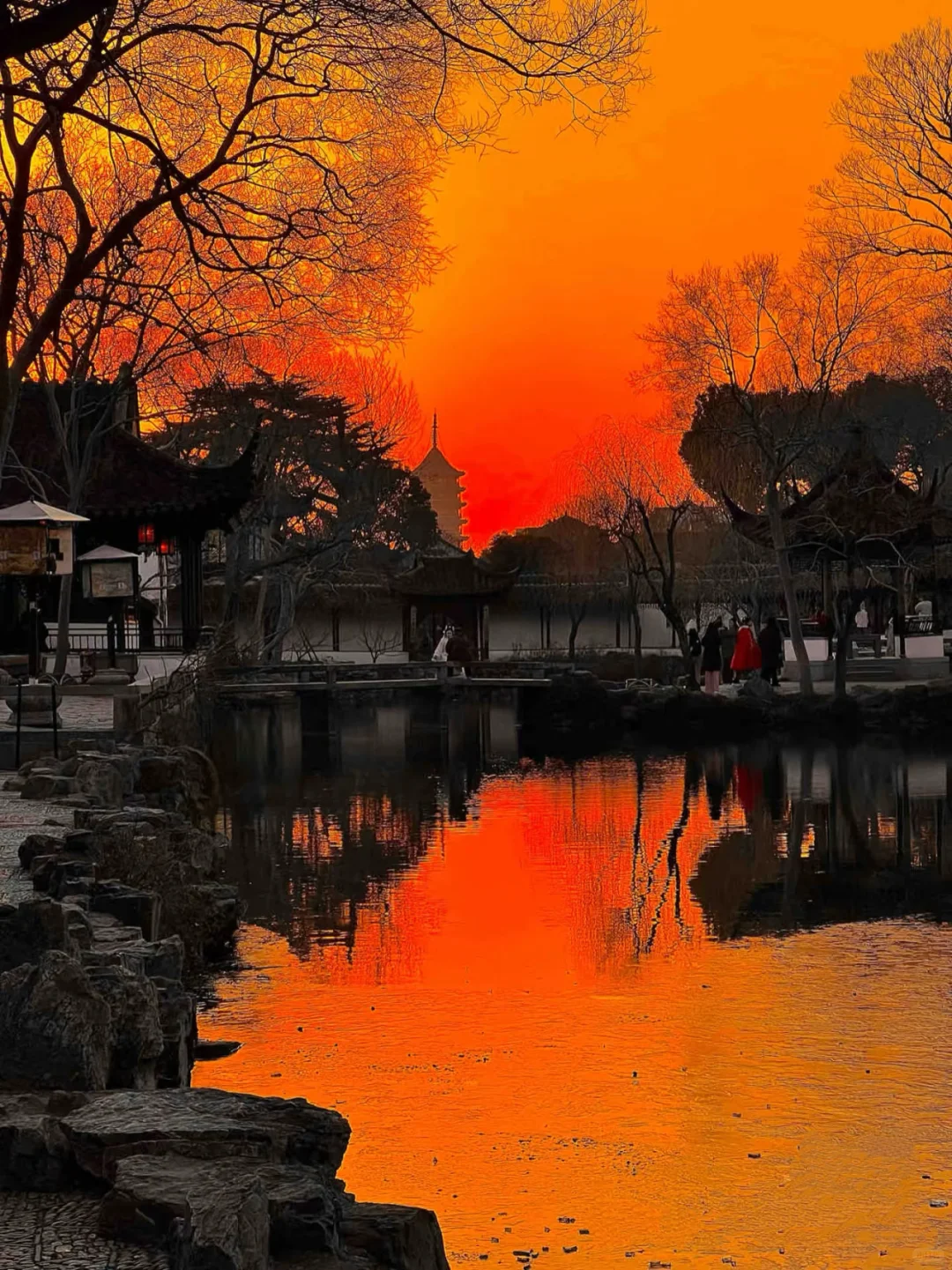 以为南京够美了🍃直到来了苏州......