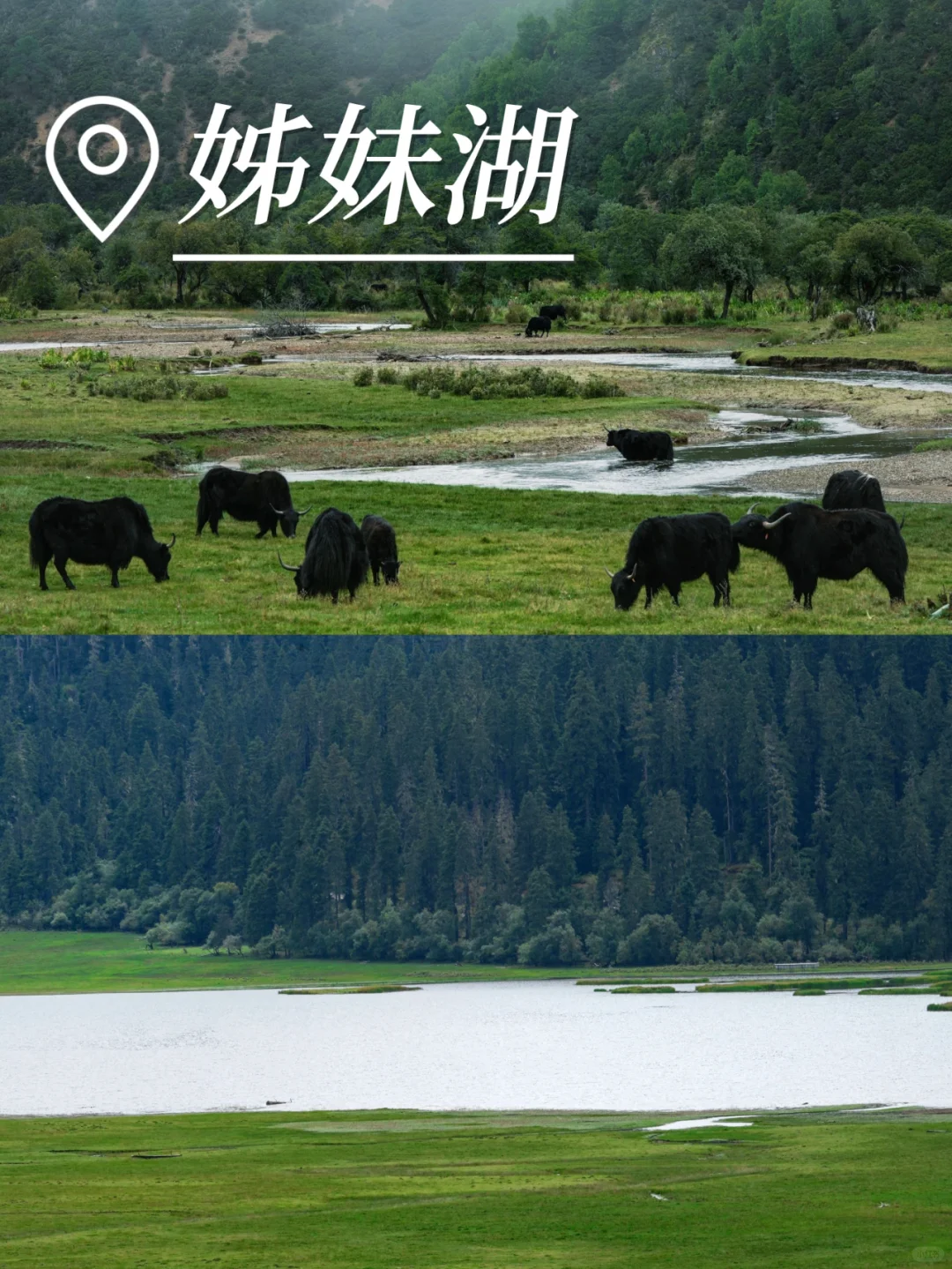 此生必驾318🚗！成都到拉萨10天旅游攻略