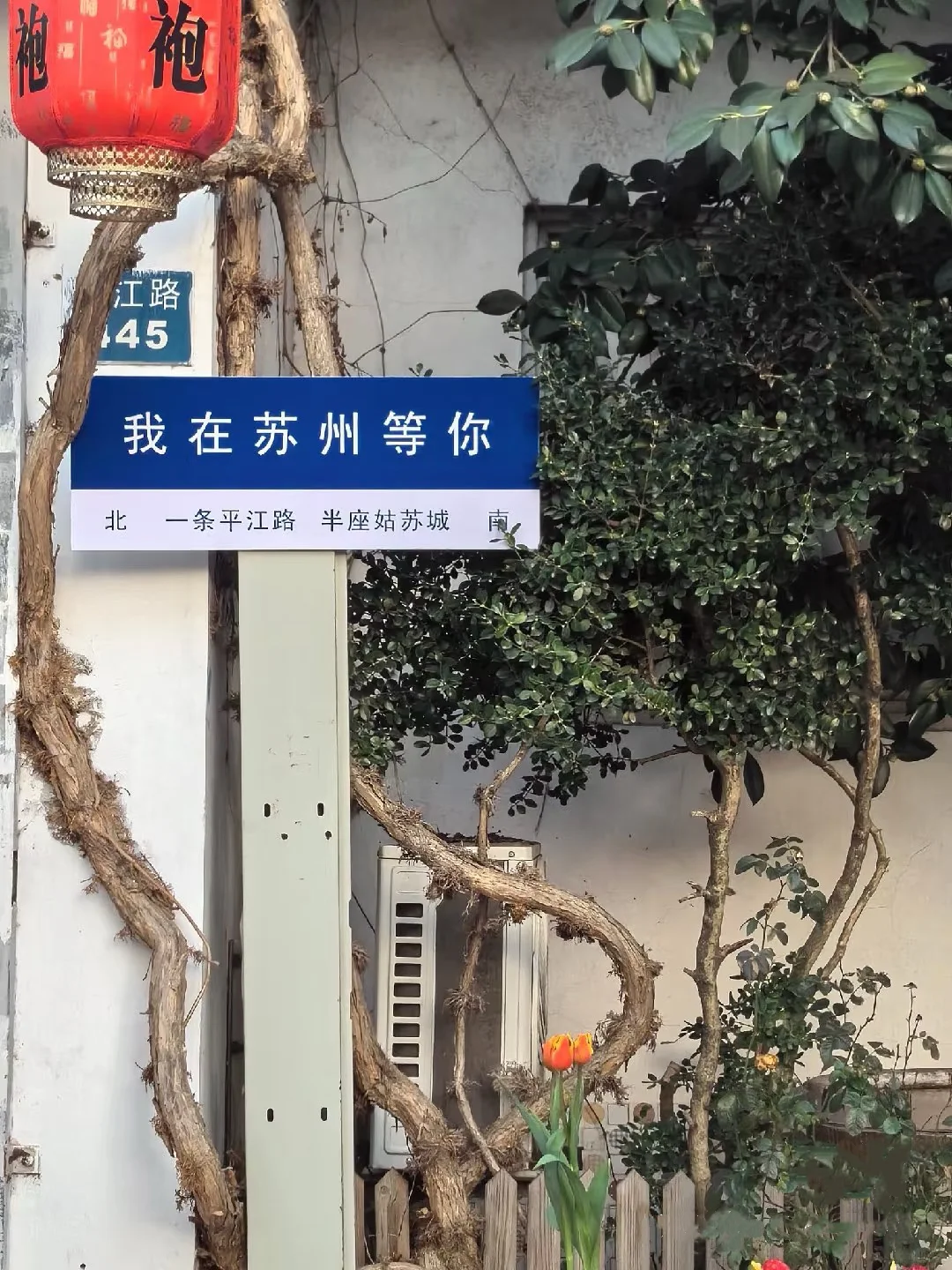 以为南京够美了🍃直到来了苏州......