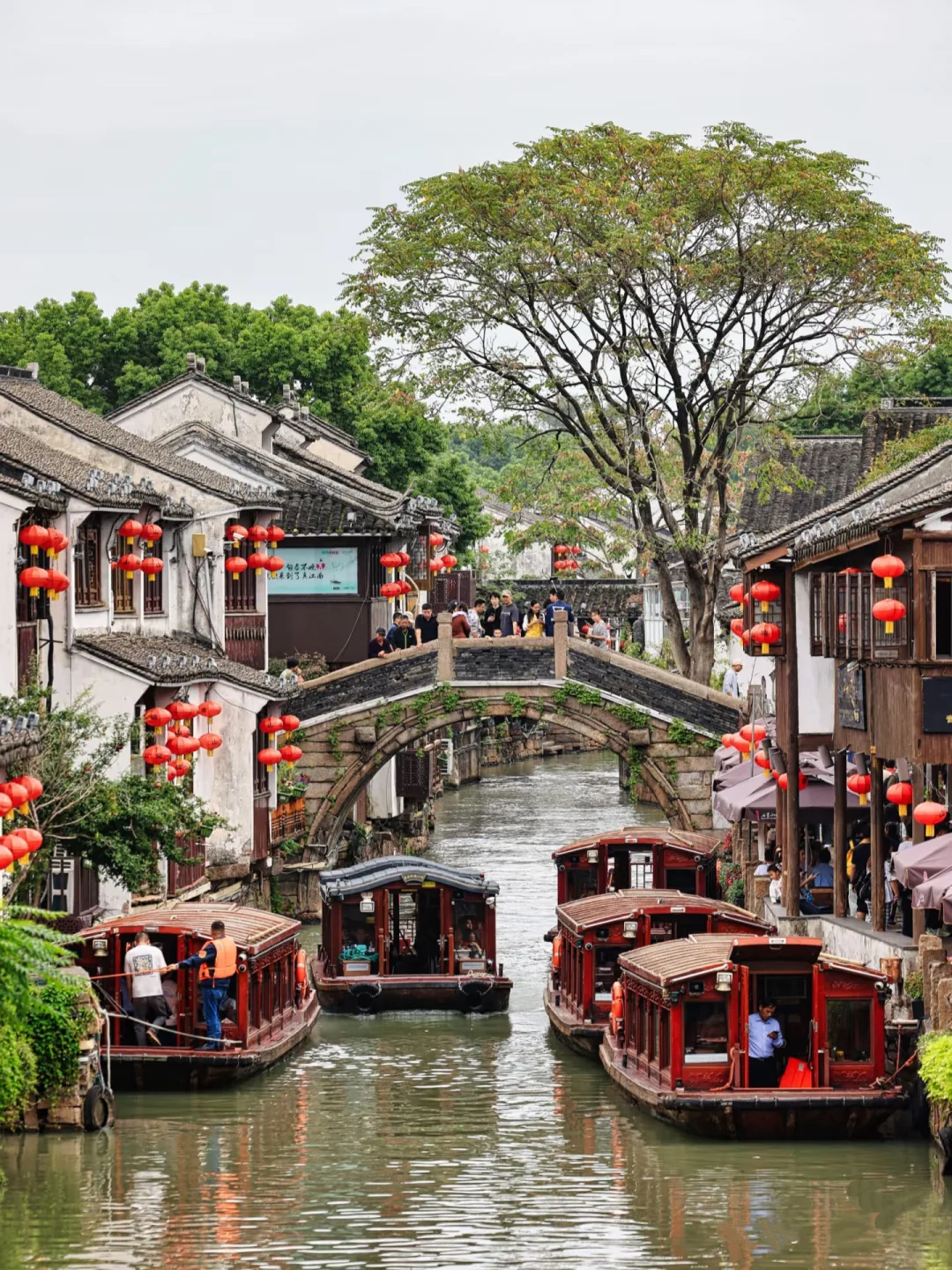 以为南京够美了🍃直到来了苏州......