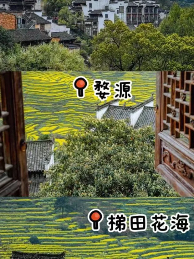 🌸江西婺源旅游攻略｜3天2夜玩转最美乡