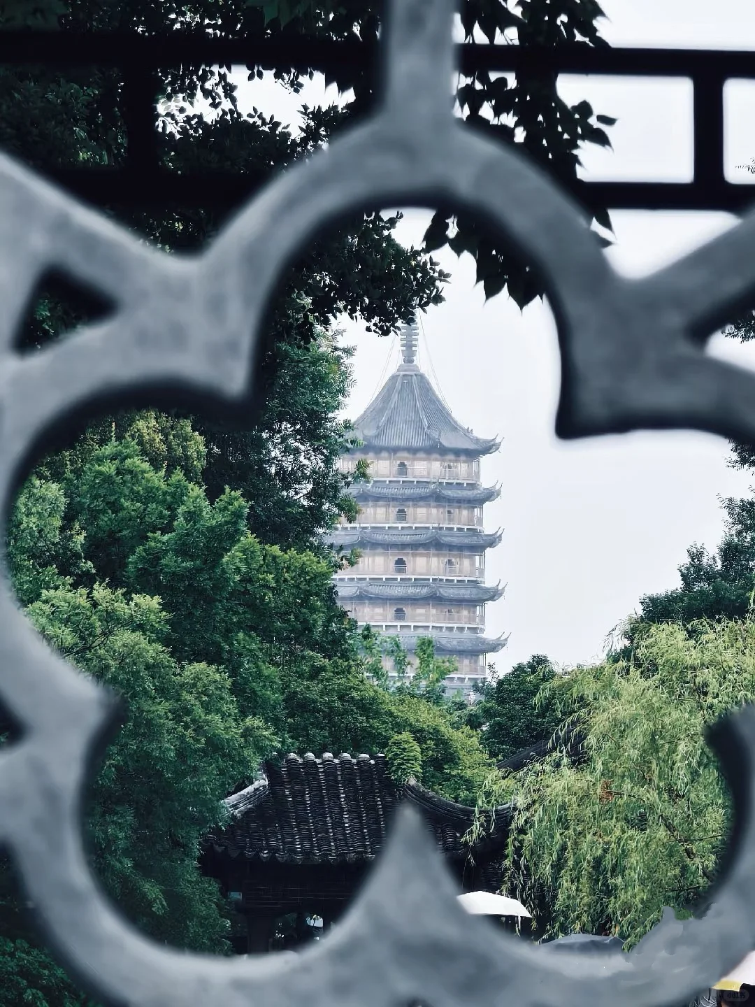 以为南京够美了🍃直到来了苏州......