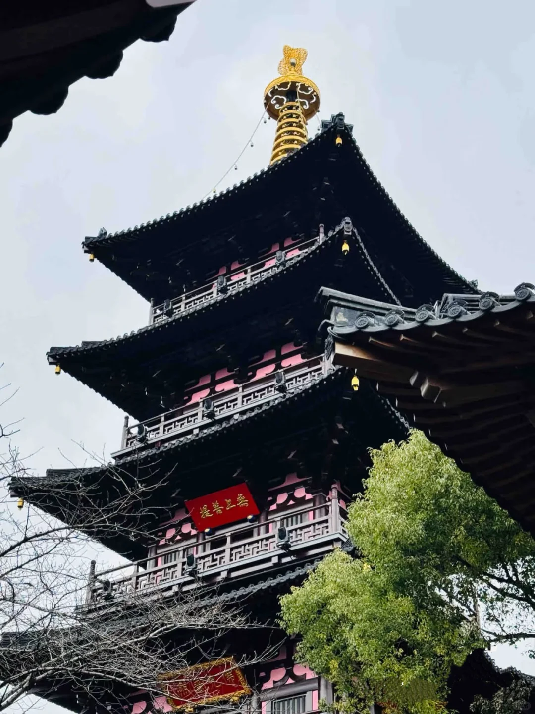 以为南京够美了🍃直到来了苏州......