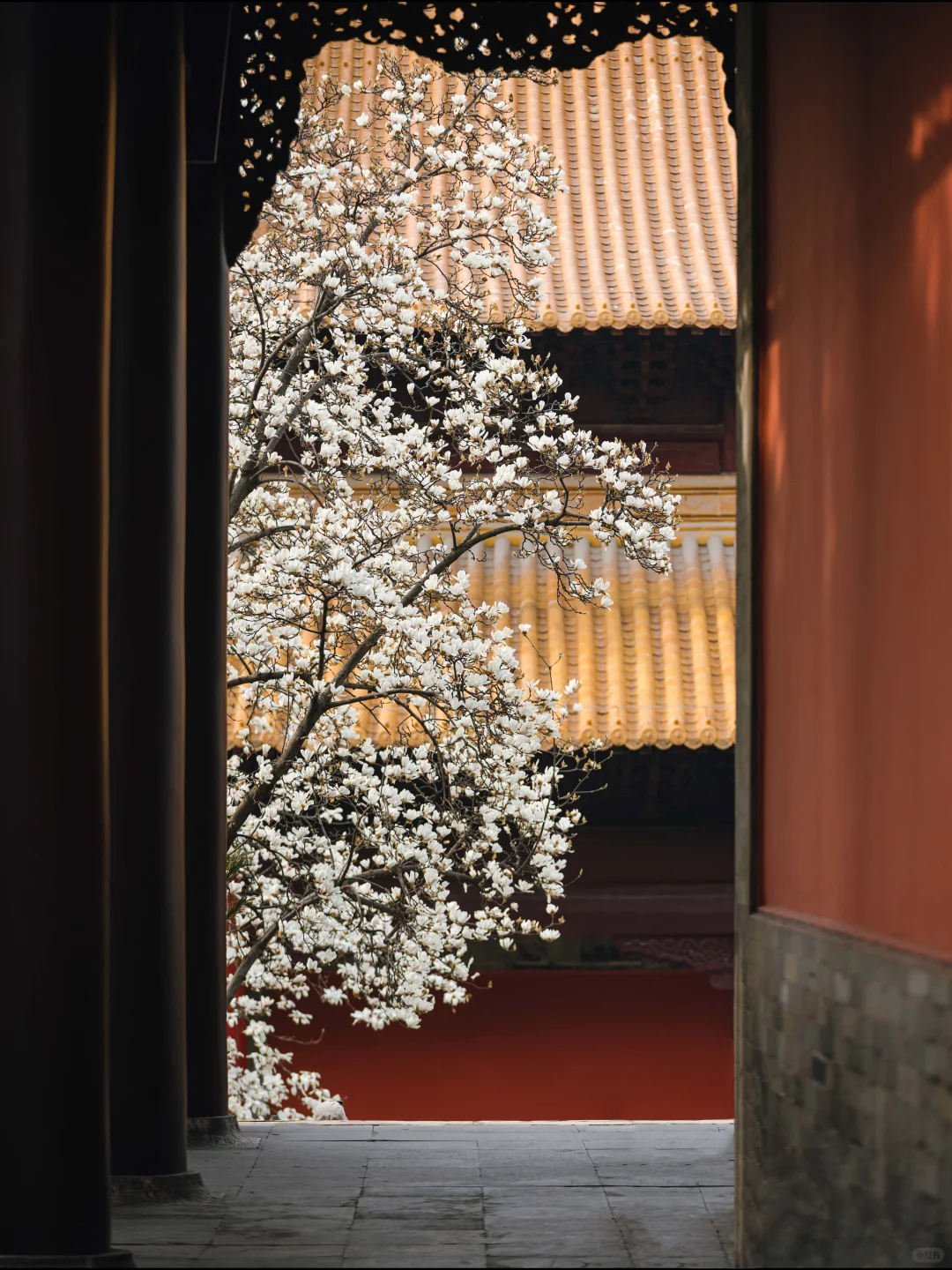 南京的春天,是一万次的春和景明。