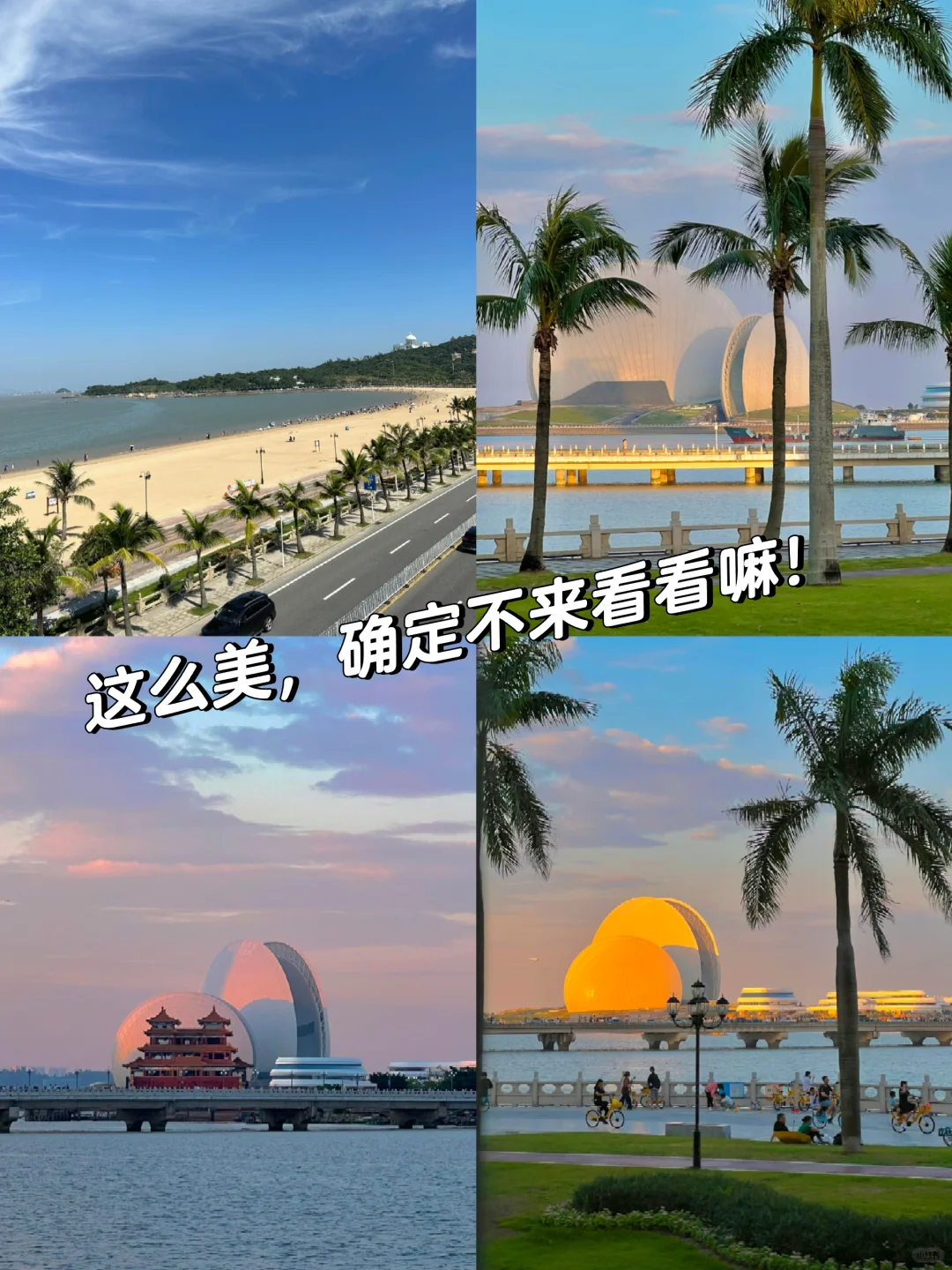 在珠海待了5年!给2-3月要来的姐妹一些建议