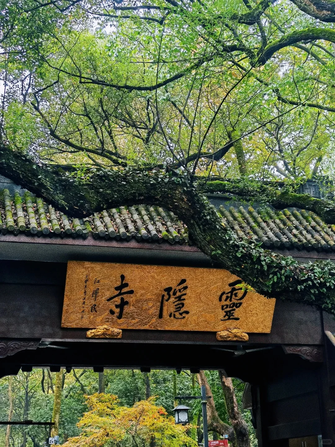 杭州3日游超全攻略（附CityWalk路线）