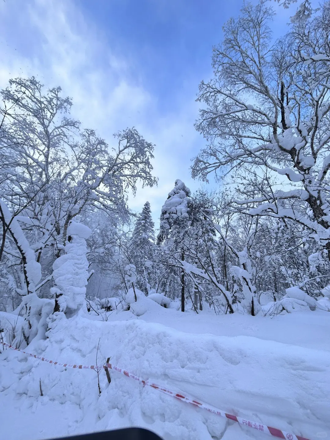 零下30度的哈尔滨，真的不是北欧！