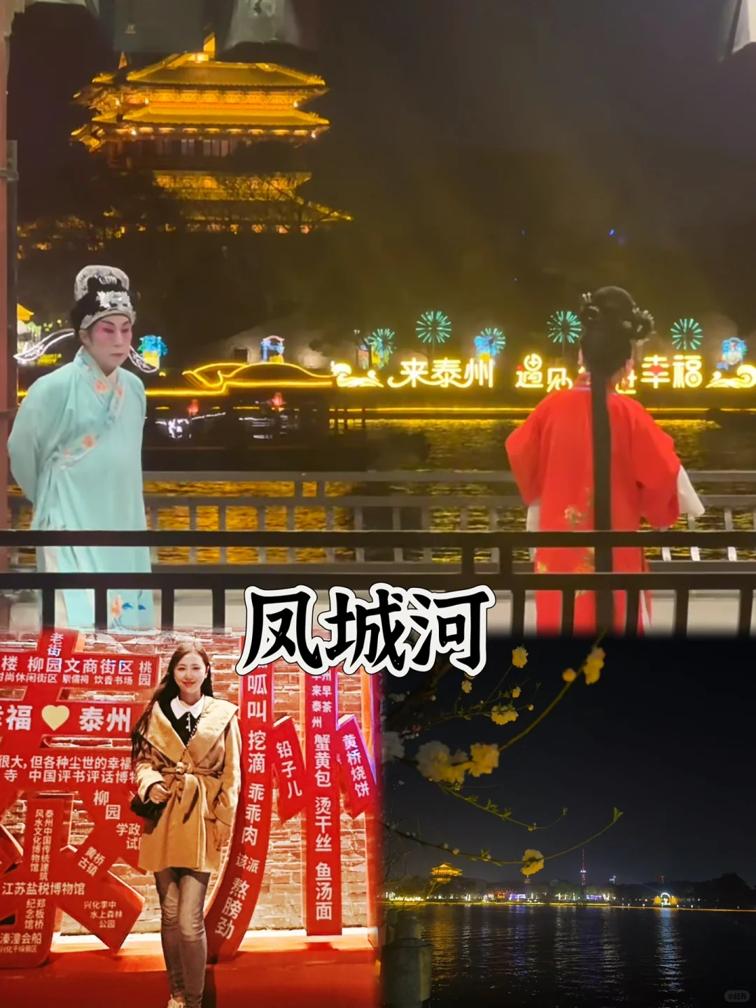 2025春季赏花系列之一，千垛油菜花篇