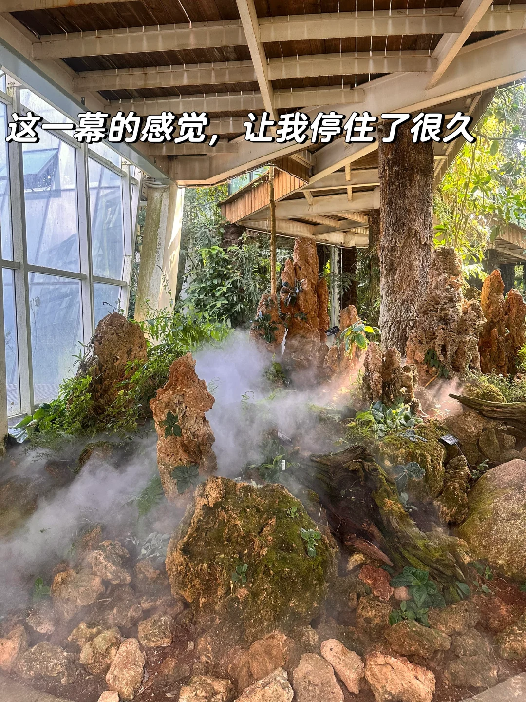 昆明植物园，一场与自然的浪漫邂逅