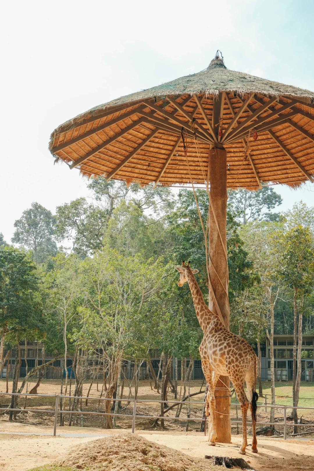 人均3k🇻🇳越南富国岛5天4晚全记录(附路线