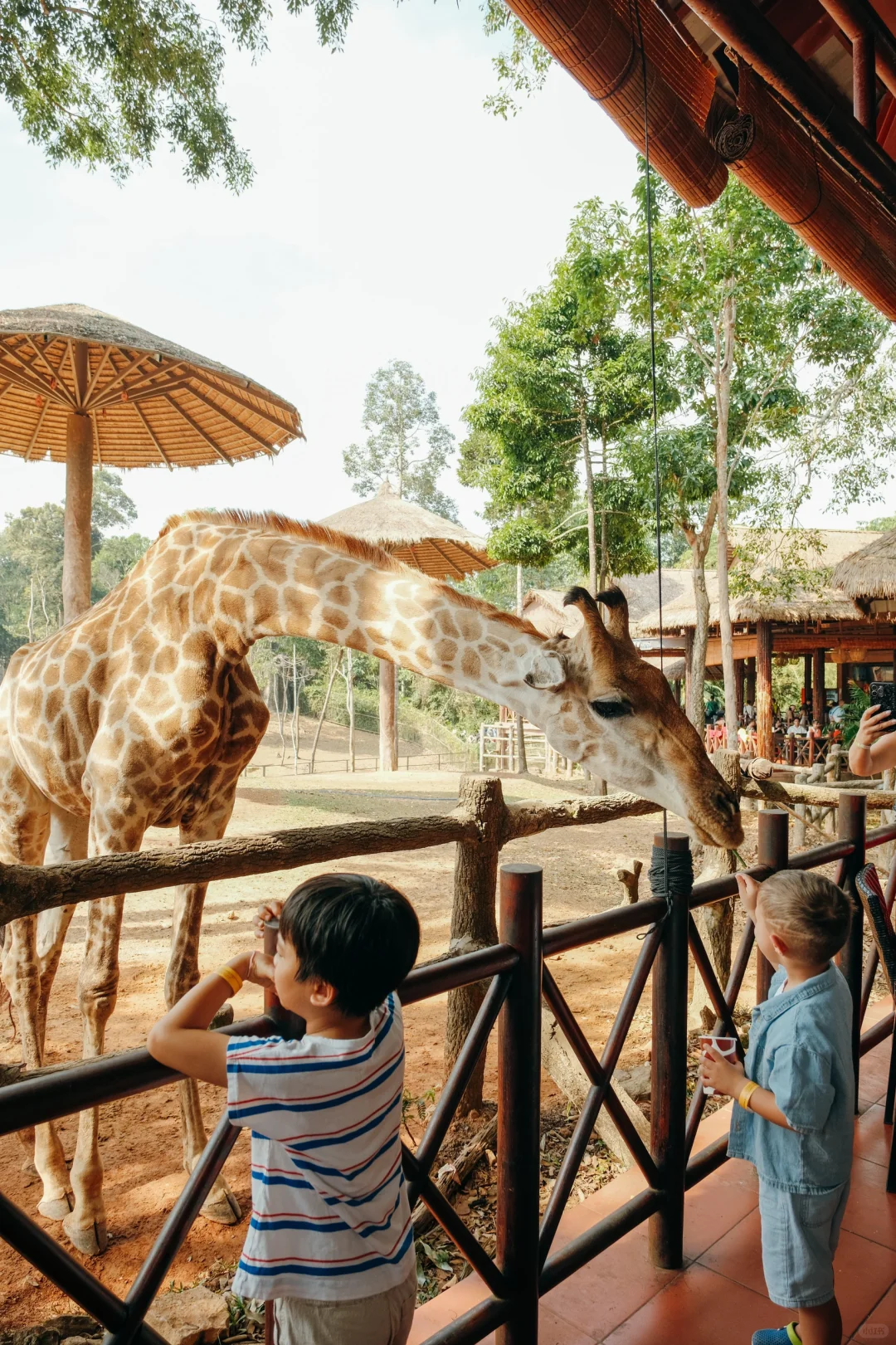 人均3k🇻🇳越南富国岛5天4晚全记录(附路线
