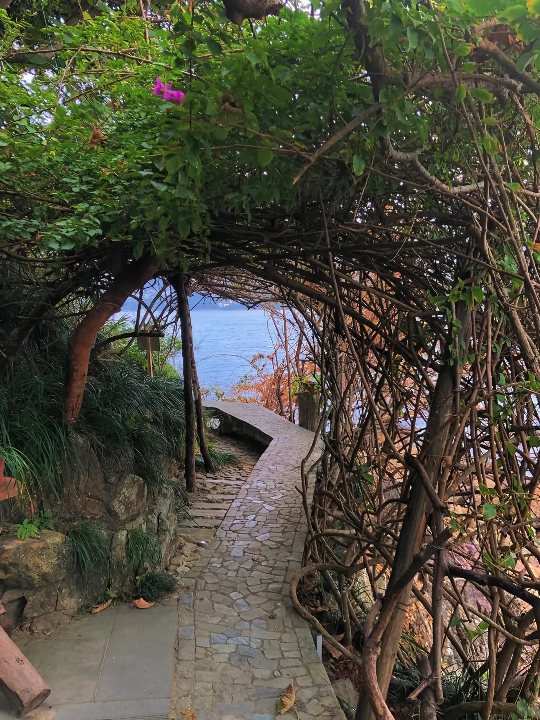 秘密后花园🇭🇰误入漫画里的时光隧道！