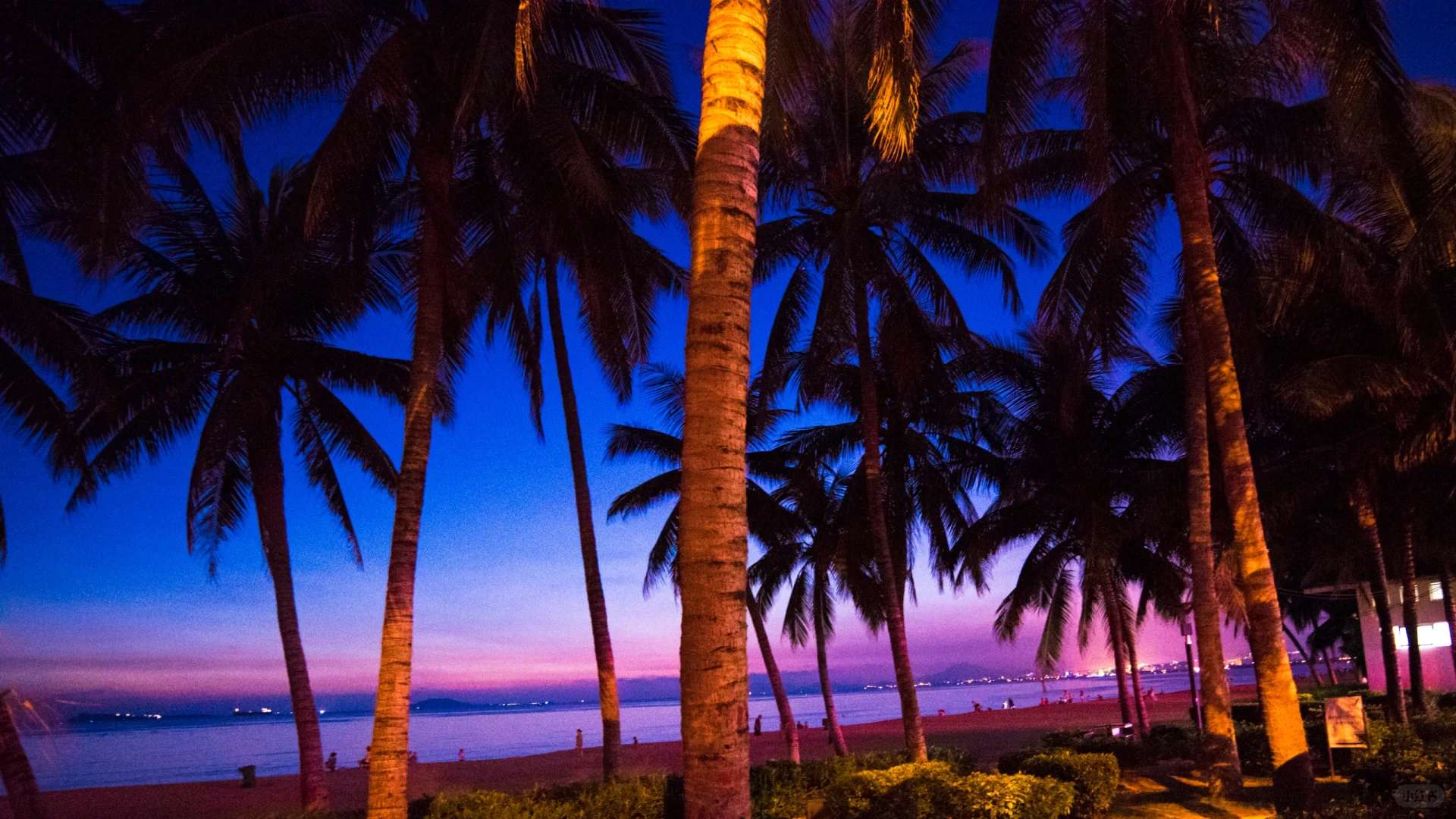 三亚 | 这几个景点千万别错过✨