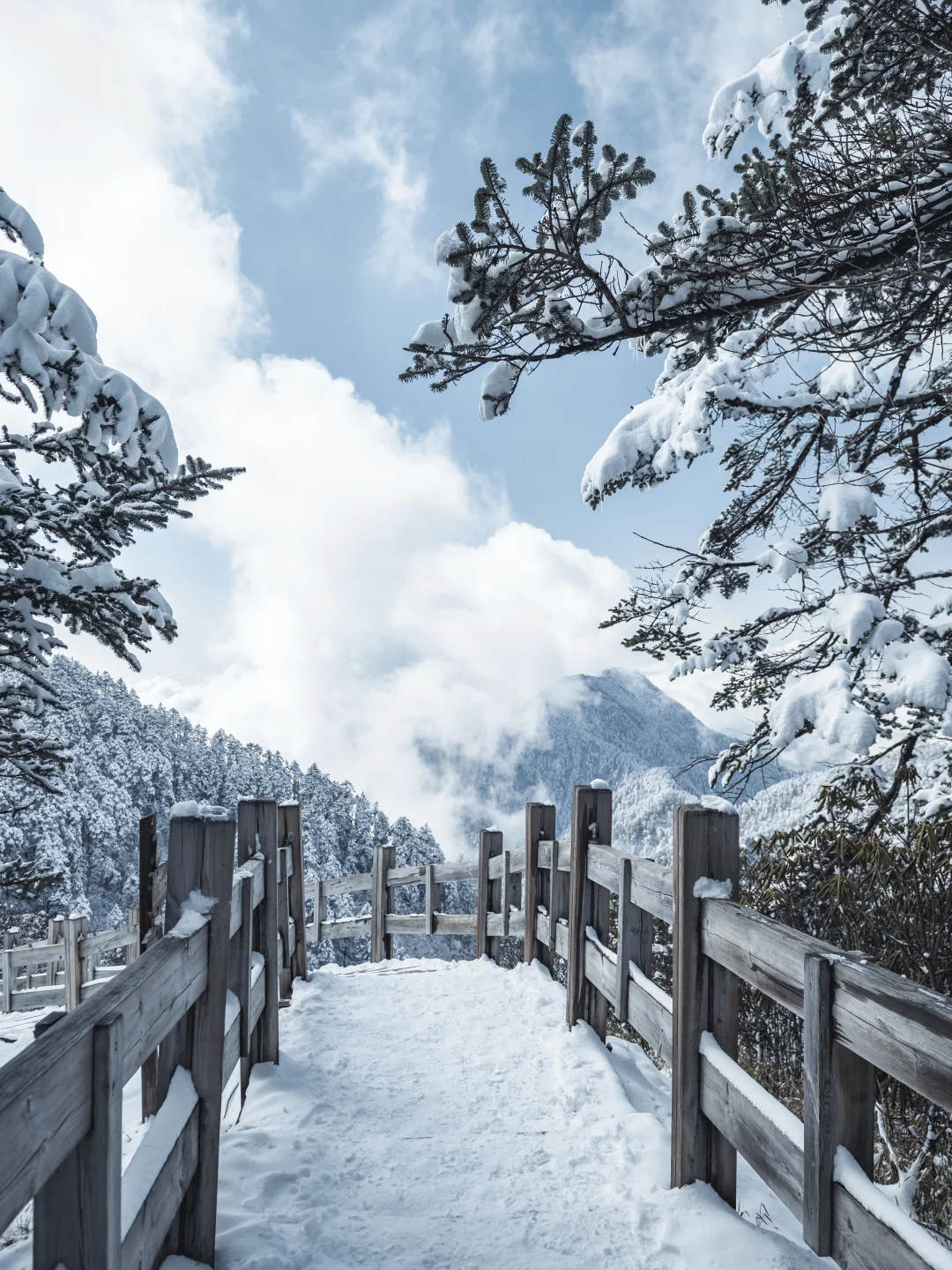 淡季的西岭雪山真的是人间理想！最全攻略