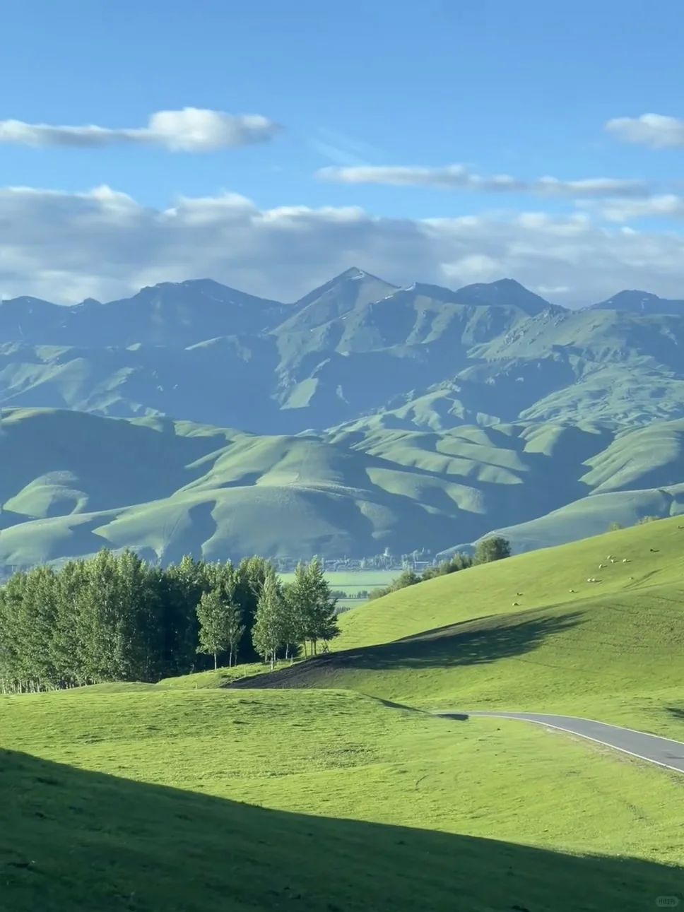 刚和姐妹新疆归来🔥报对团有多重要‼️