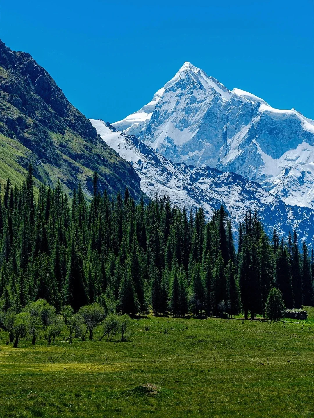 新疆旅游必去九大景点🔥绝美风光🔥