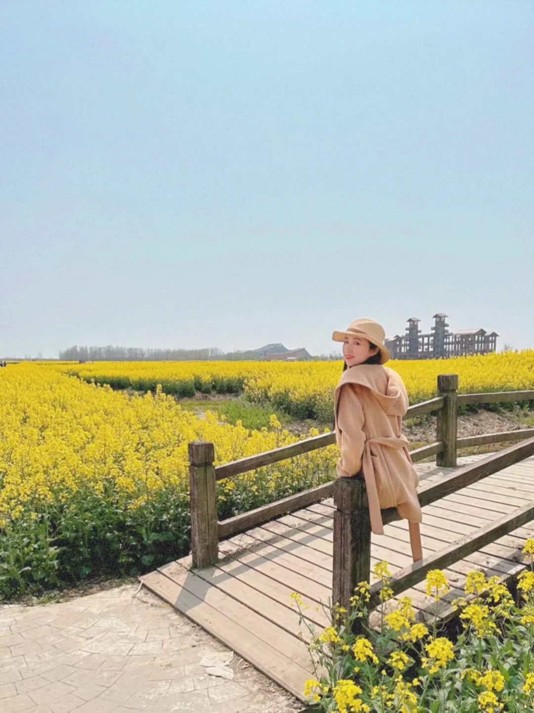 2025春季赏花系列之一，千垛油菜花篇