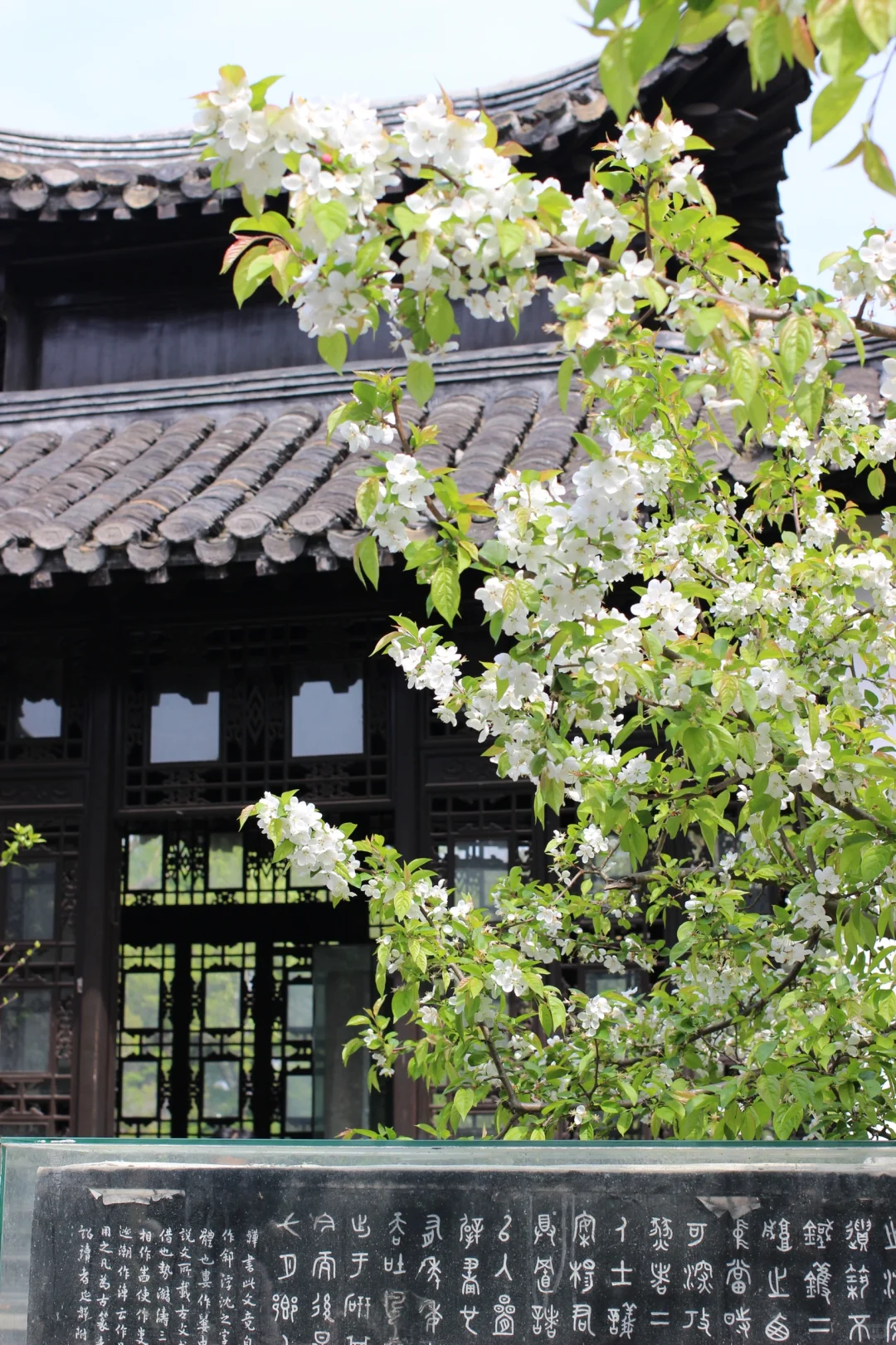 🌸两天三夜·烟花三月下扬州保姆级攻略🌿