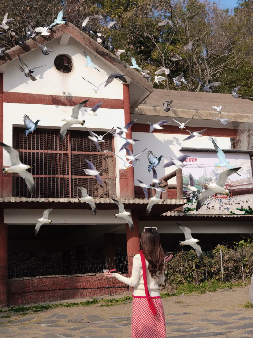 果真❗️大家对东湖的开发只有10%（附⭕攻略