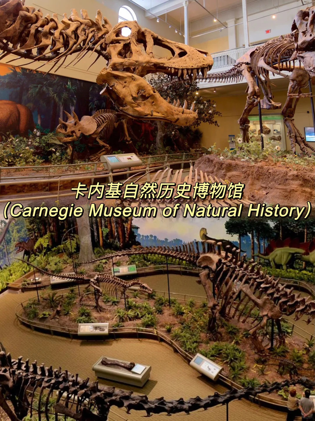 匹兹堡必打卡的5个景点‼️看这一篇就够了