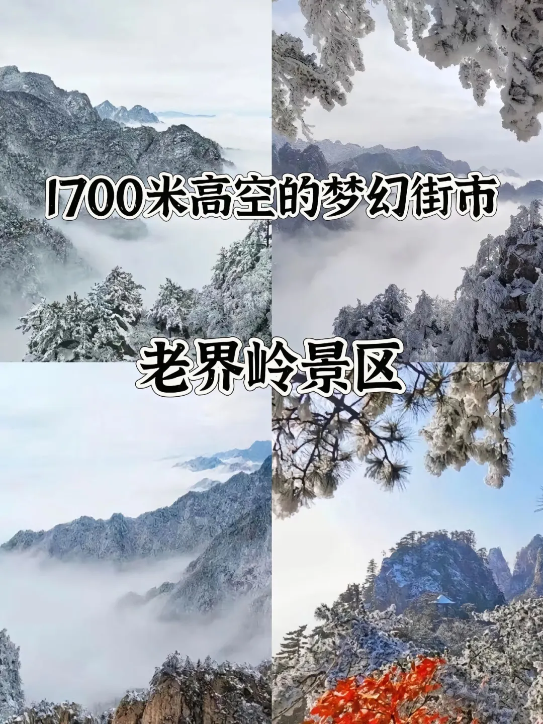 河南最值得去的16个5A级景区！建议收藏