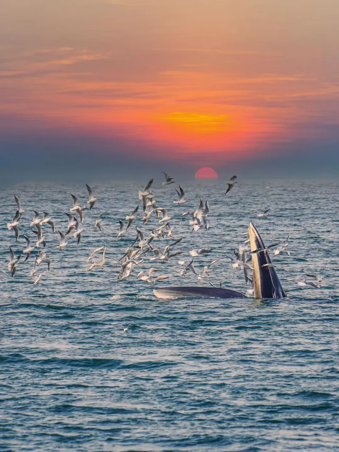 下一站！北海！总要去一趟北海吧~附攻略！