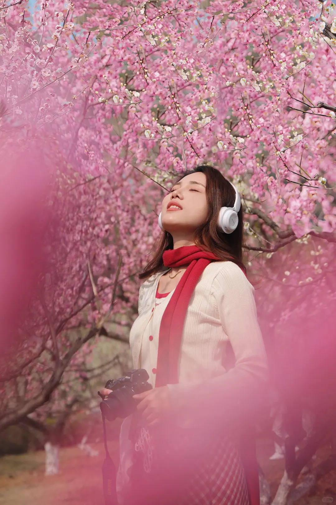 果真❗️大家对东湖的开发只有10%（附⭕攻略