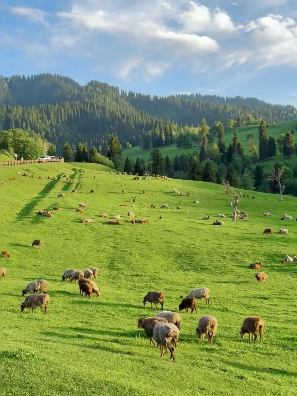 刚和姐妹新疆归来🔥报对团有多重要‼️