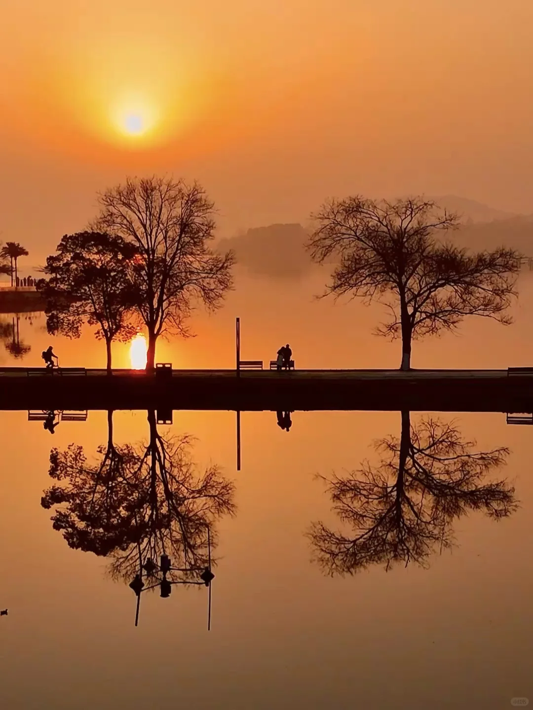 果真❗️大家对东湖的开发只有10%（附⭕攻略