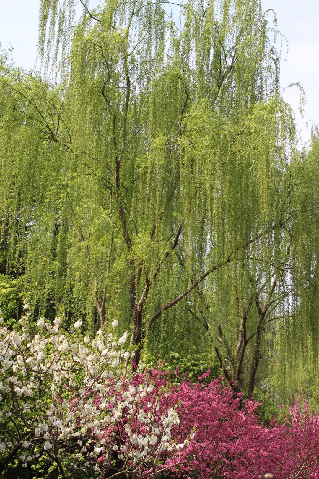 🌸两天三夜·烟花三月下扬州保姆级攻略🌿