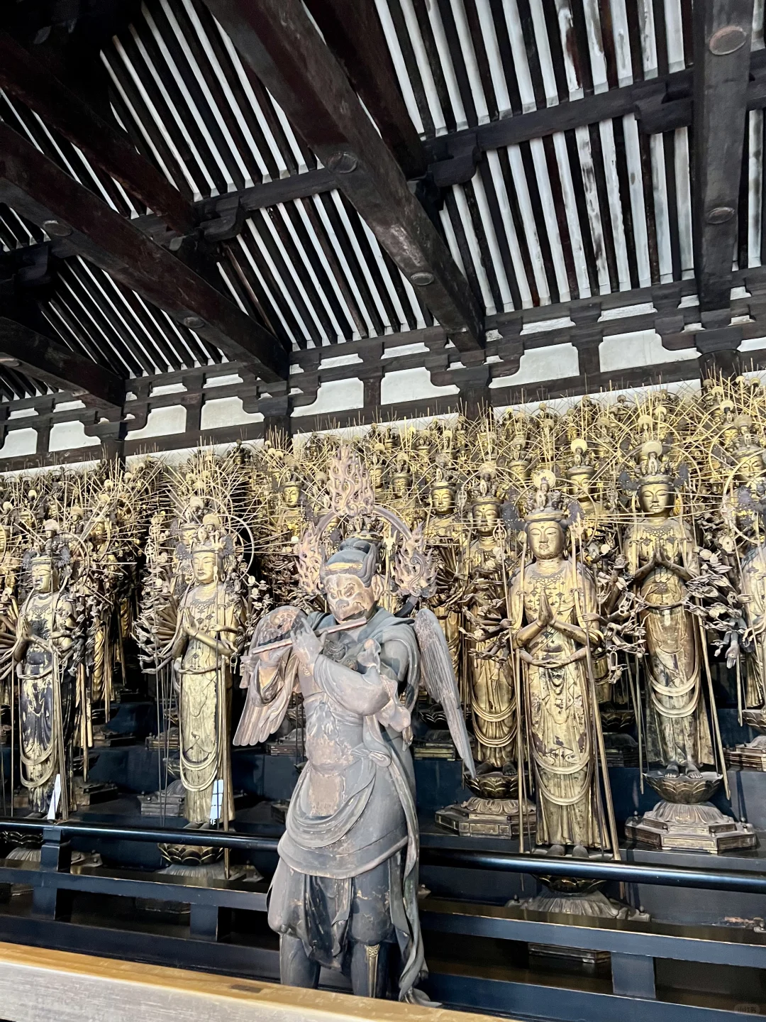 京都·二条城·金阁寺·三十三间堂