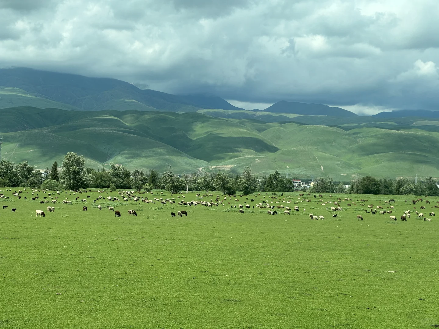 六月初 新疆自驾旅游记录⛰️攻略+花费