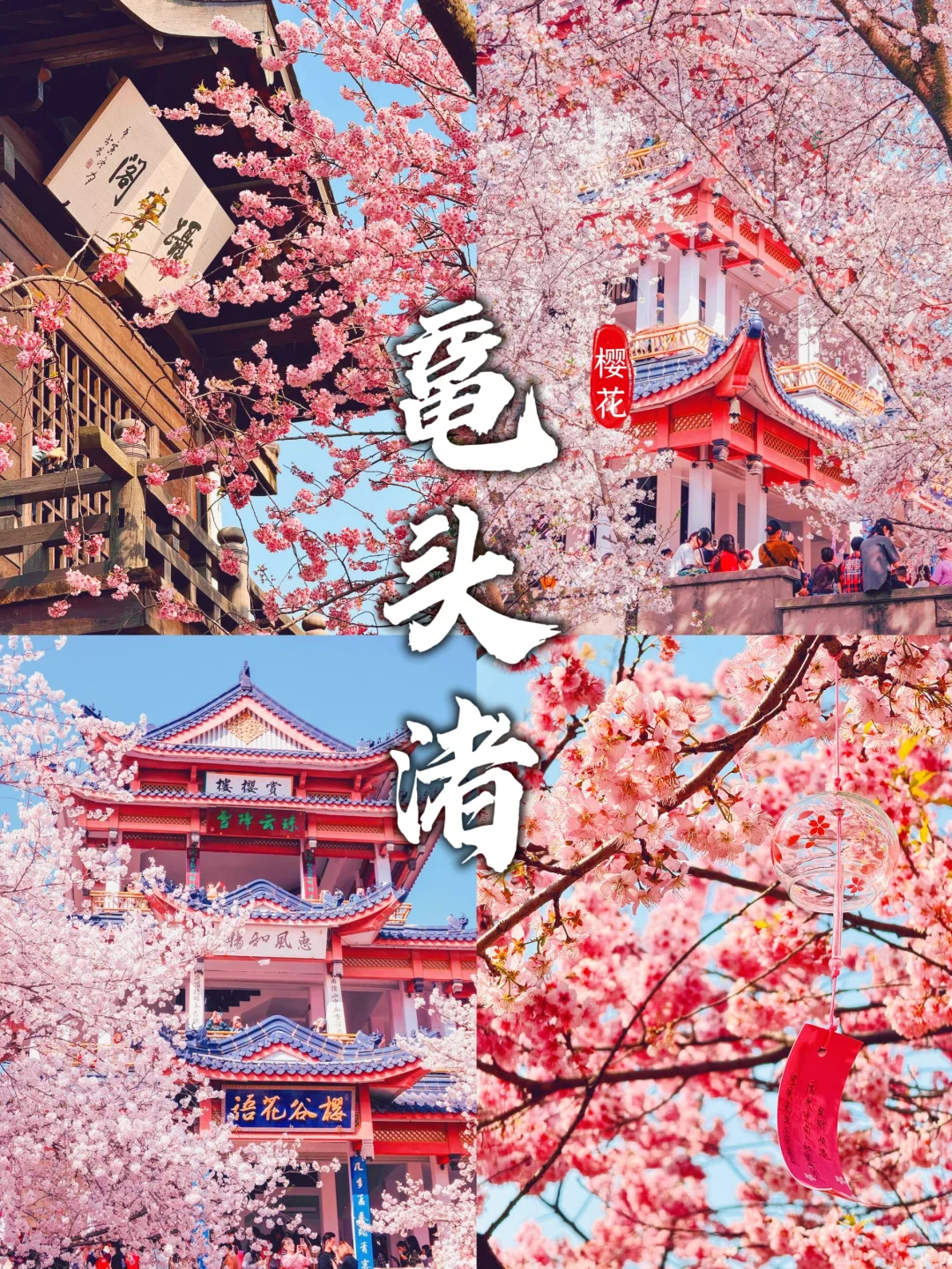 人生建议💡3月一定要来鼋头渚赏樱花❗