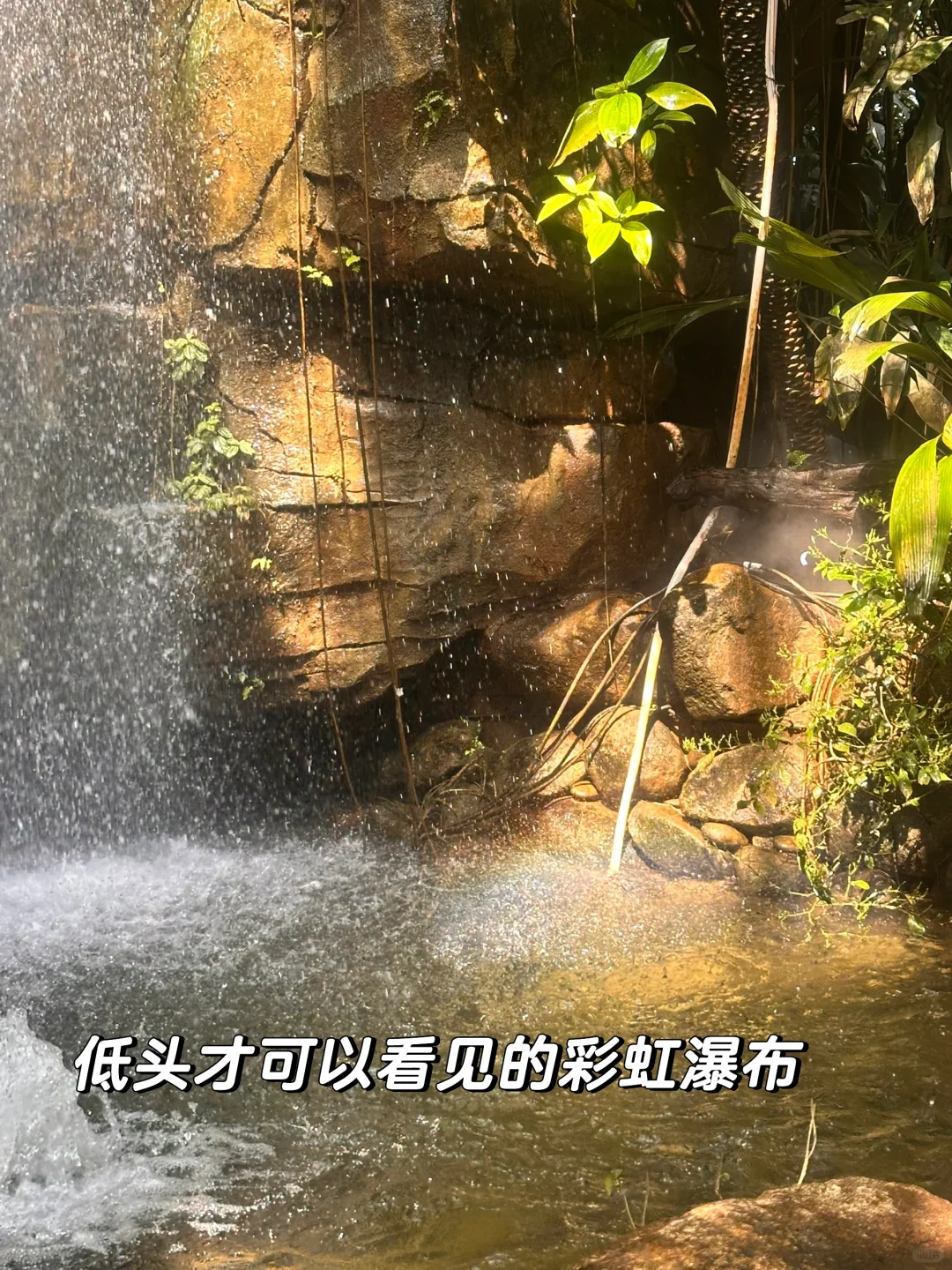 昆明植物园，一场与自然的浪漫邂逅