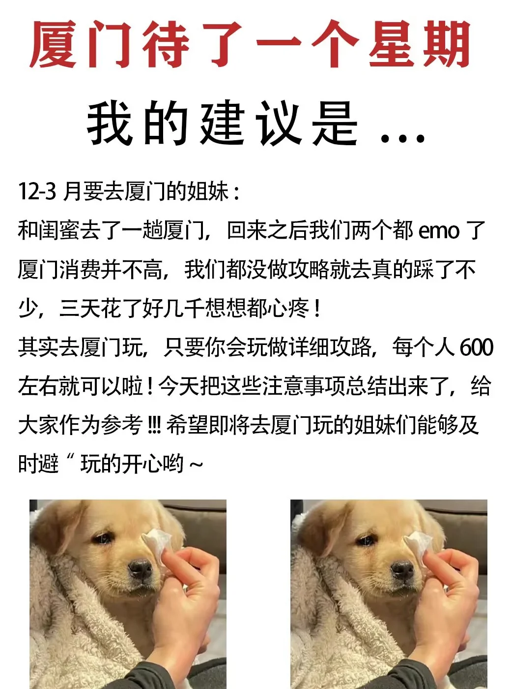 2.20厦门旅游现状，崩溃了😭我的建议是…