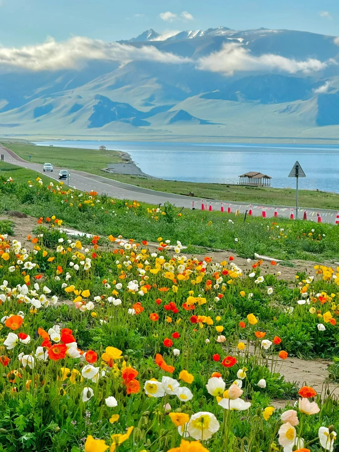 新疆旅游必去九大景点🔥绝美风光🔥