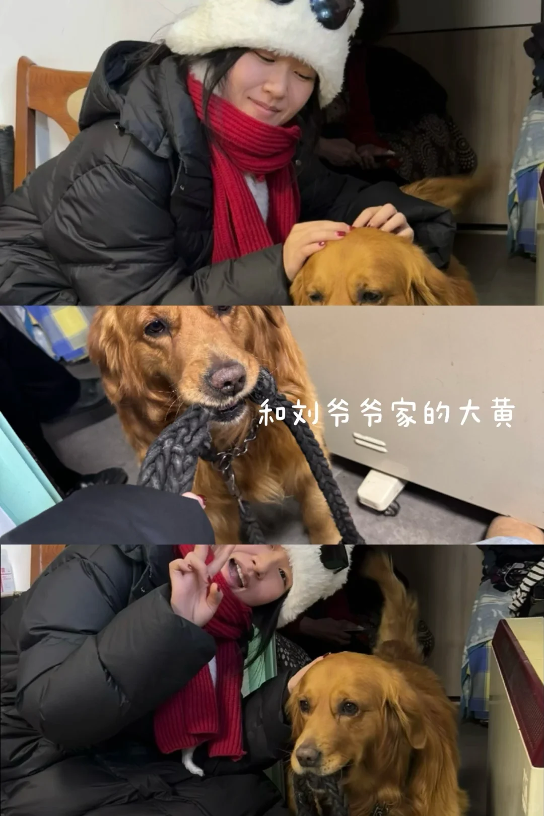 📝 | 乙巳年初 北平小记