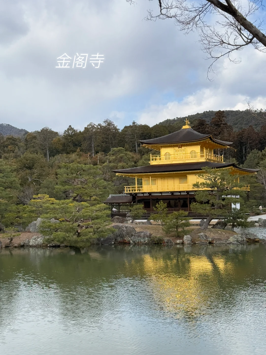 京都·二条城·金阁寺·三十三间堂