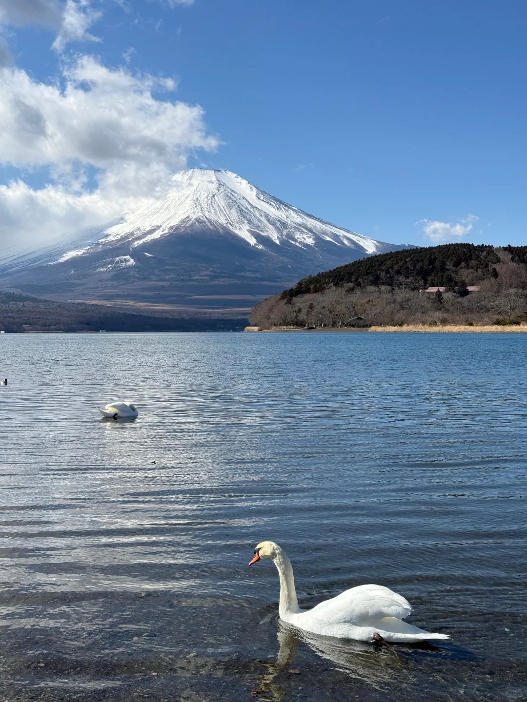 富士山包车旅游路线！可拼车