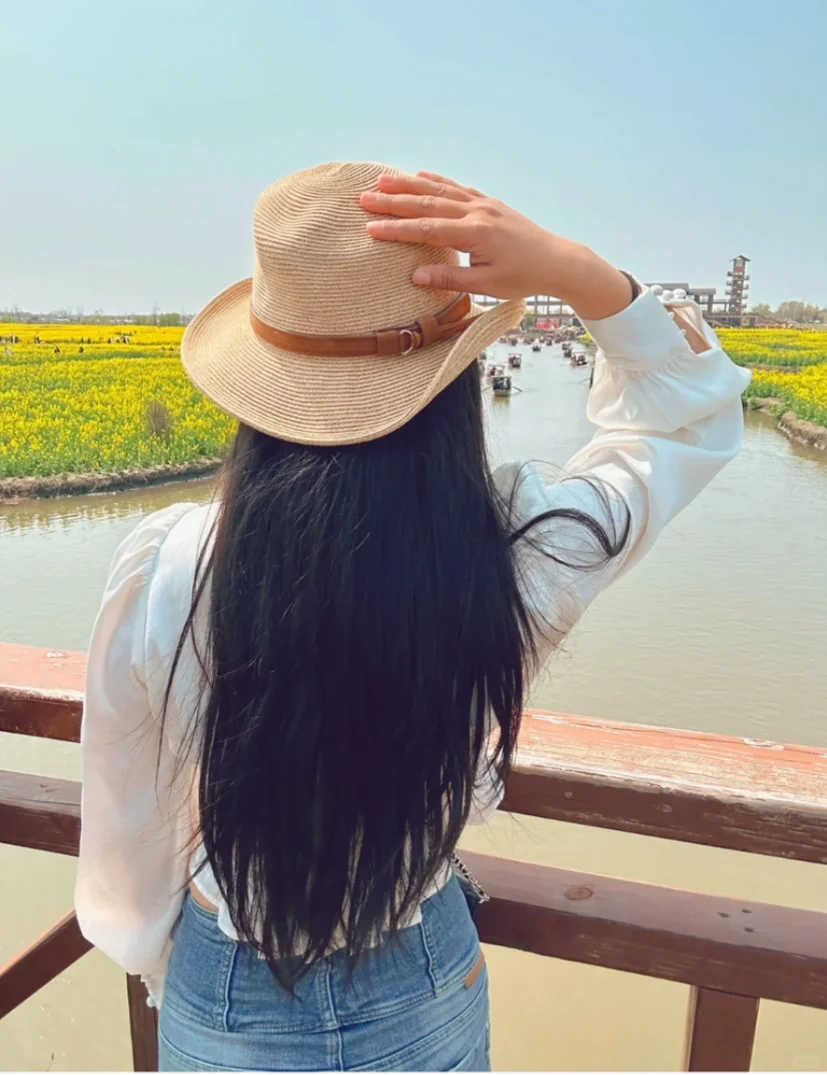 2025春季赏花系列之一，千垛油菜花篇