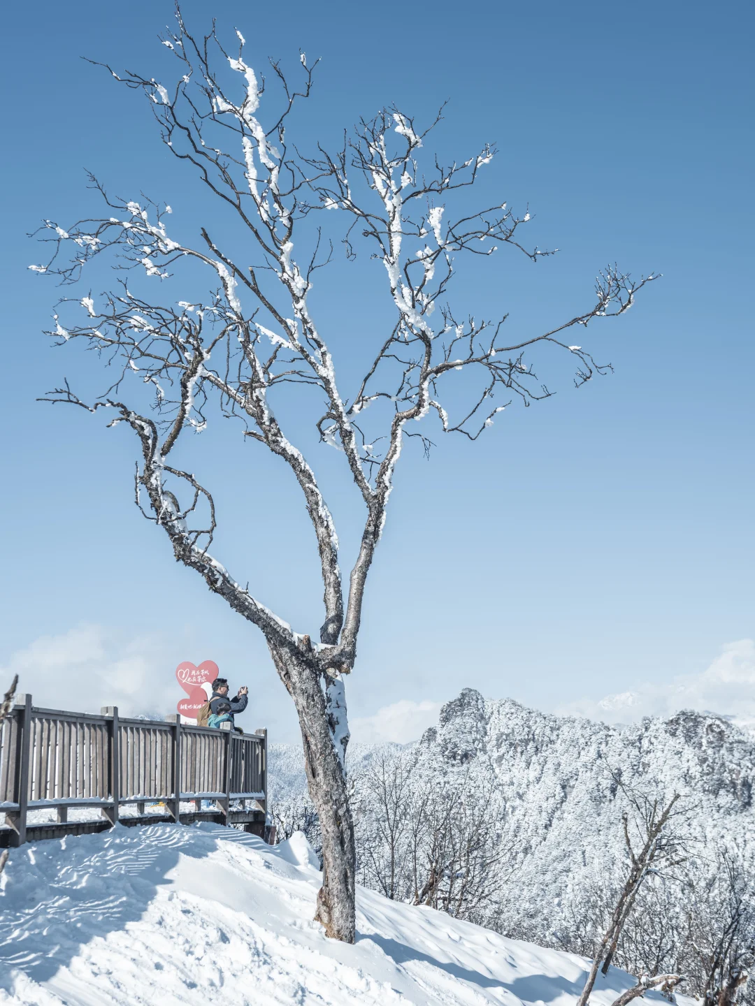 淡季的西岭雪山真的是人间理想！最全攻略