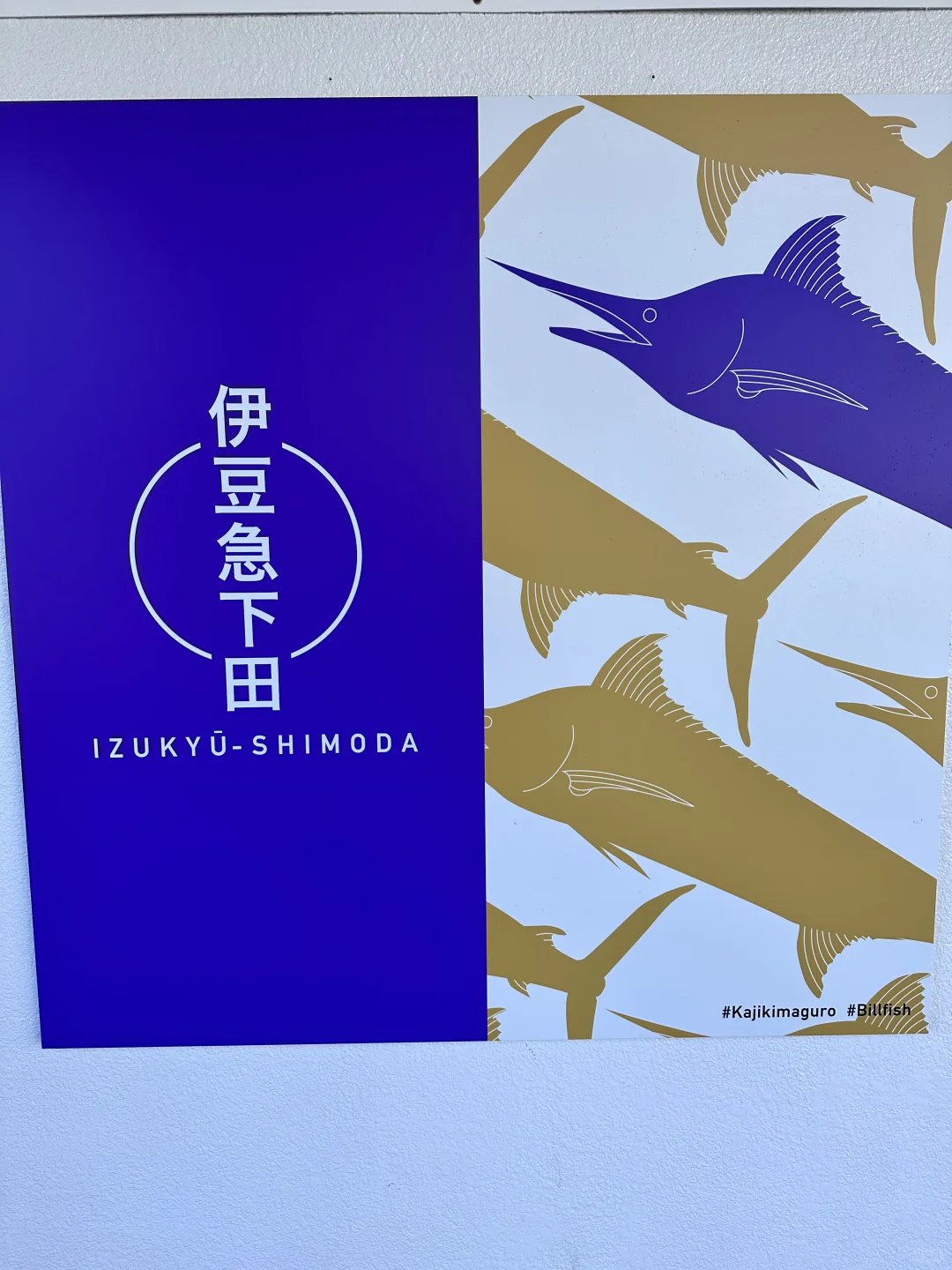 伊豆急下田被低估的一个地方