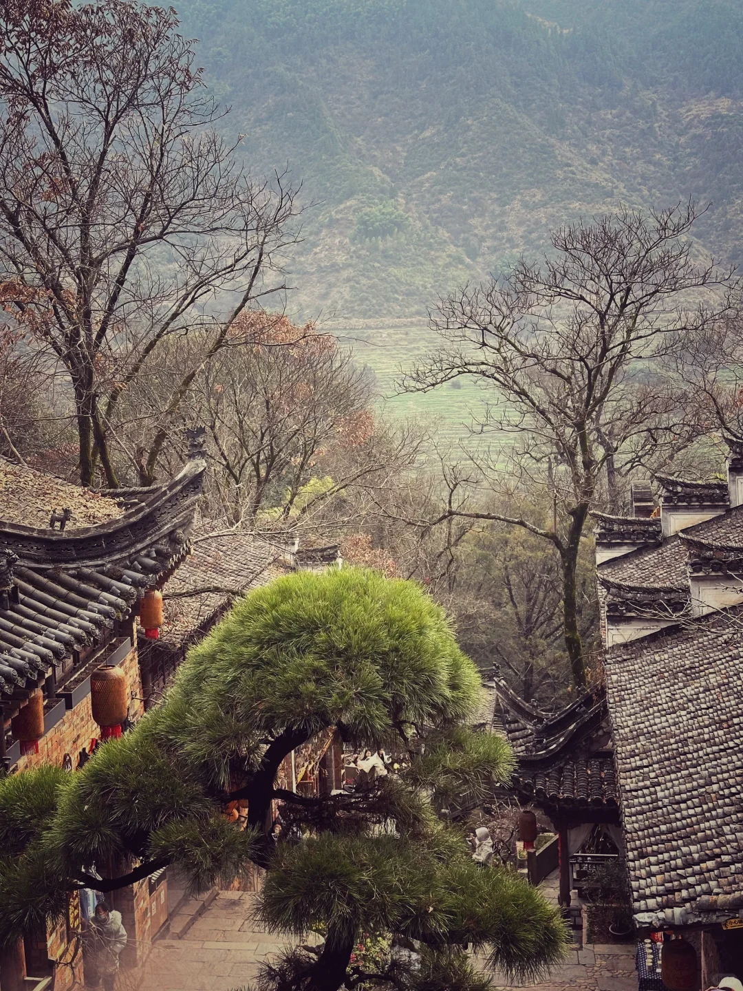 最美村落| 婺源•篁岭🏘️